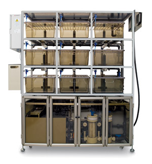 מערכת XenoPlus Stand Alone לגידול צפרדעים, מתוצרת Tecniplast